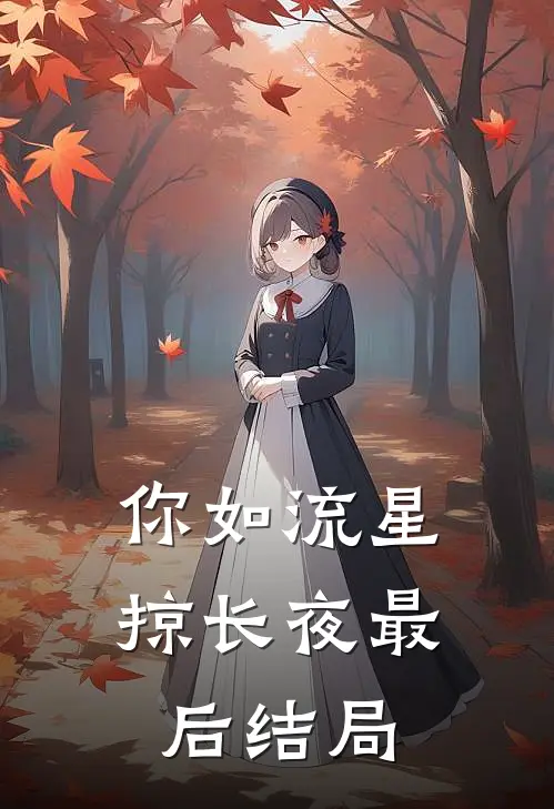 你如流星掠长夜最后结局