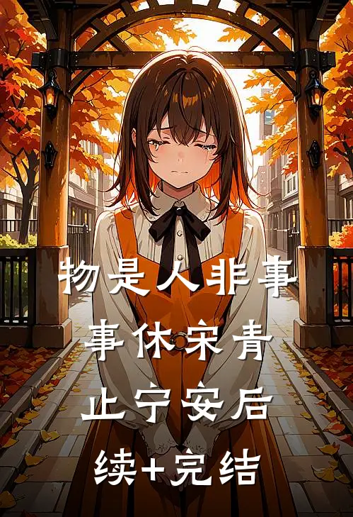 物是人非事事休宋青止宁安后续+完结