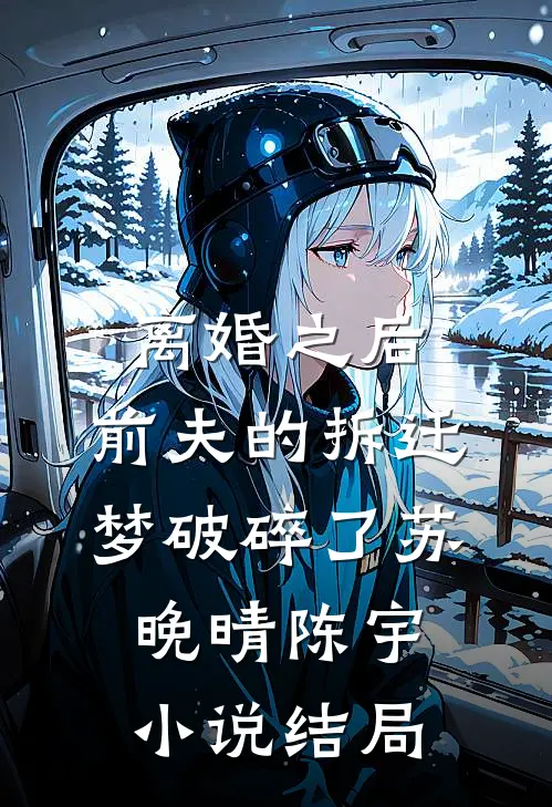 离婚之后，前夫的拆迁梦破碎了苏晚晴陈宇小说结局