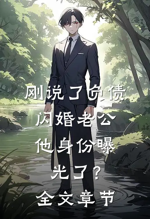 刚说了负债，闪婚老公他身份曝光了？全文章节