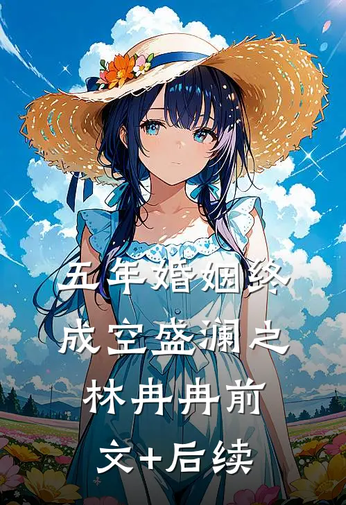 五年婚姻终成空盛澜之林冉冉前文+后续