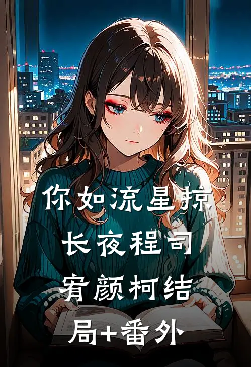 你如流星掠长夜程司宥颜柯结局+番外