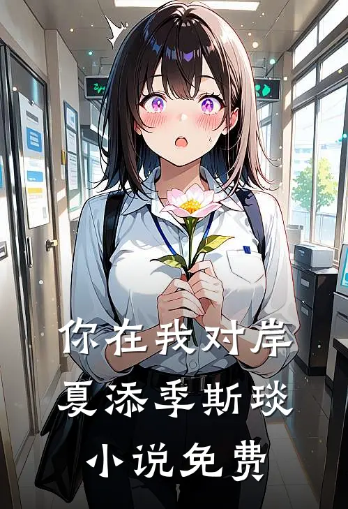 你在我对岸夏添季斯琰小说免费