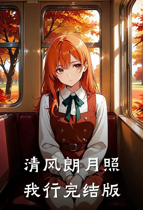 清风朗月照我行完结版