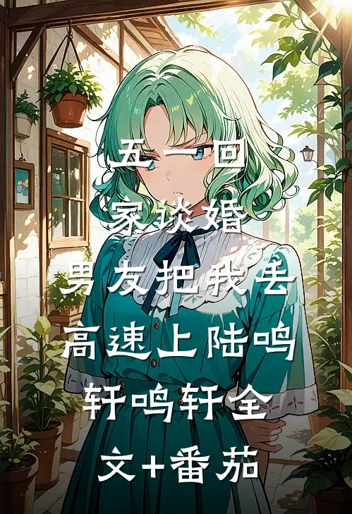 五一回家谈婚，男友把我丢高速上陆鸣轩鸣轩全文+番茄