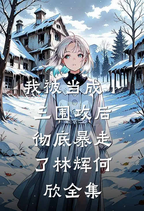 我被当成小三围攻后，彻底暴走了林辉何欣全集