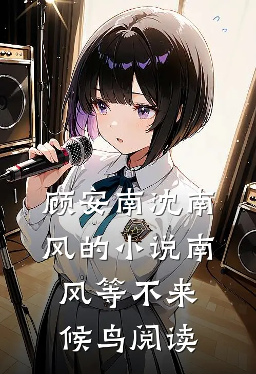 顾安南沈南风的小说南风等不来候鸟阅读