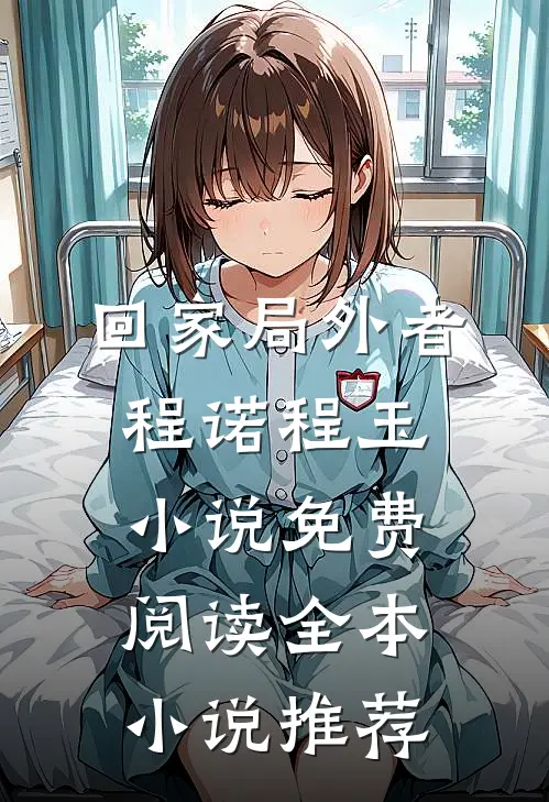 回家局外者程诺程玉小说免费阅读全本小说推荐