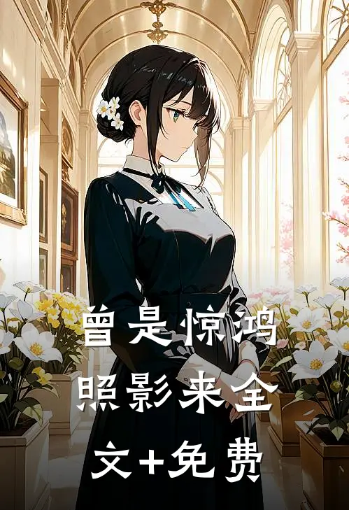 曾是惊鸿照影来全文+免费