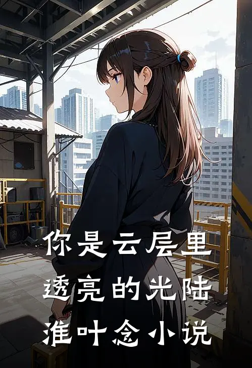 你是云层里透亮的光陆淮叶念小说