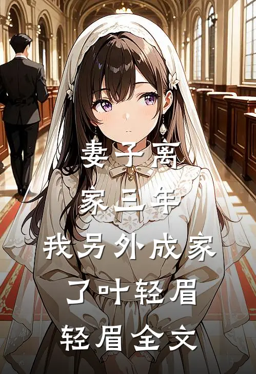 妻子离家三年，我另外成家了叶轻眉轻眉全文