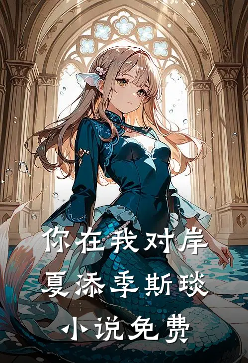 你在我对岸夏添季斯琰小说免费