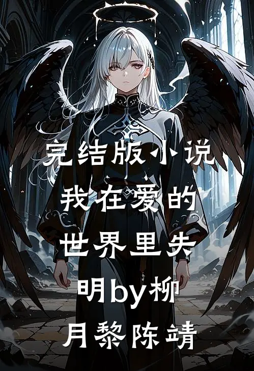 完结版小说我在爱的世界里失明by柳月黎陈靖