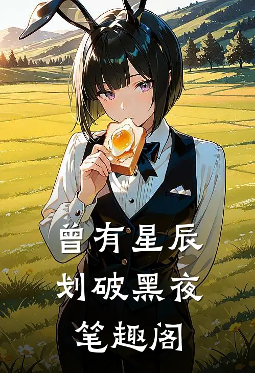 曾有星辰划破黑夜笔趣阁