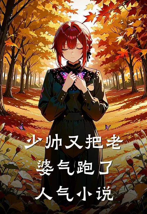 少帅又把老婆气跑了人气小说