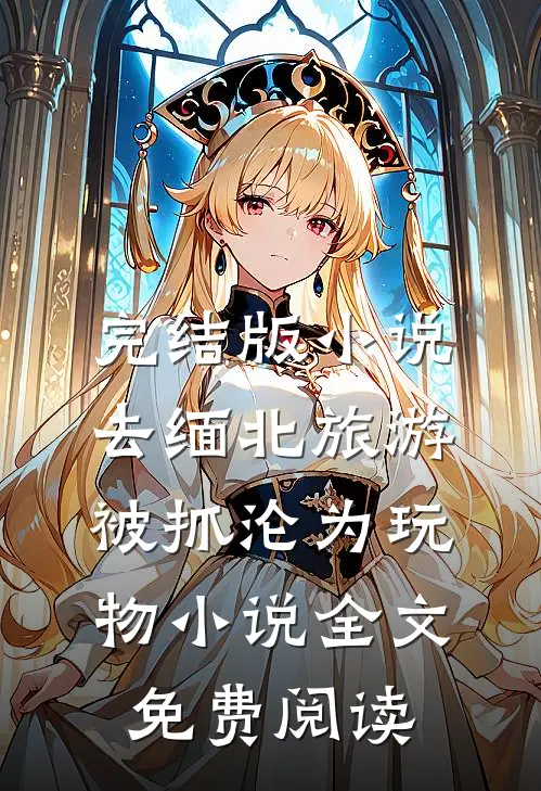完结版小说去缅北旅游被抓沦为玩物小说全文免费阅读