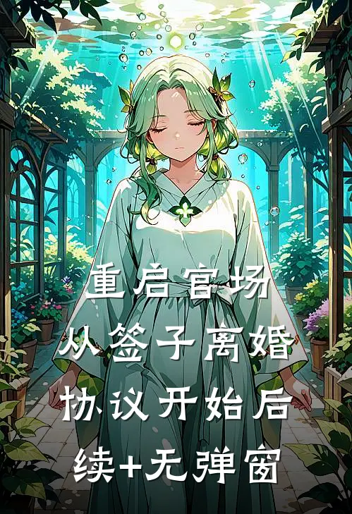 重启官场：从签子离婚协议开始后续+无弹窗