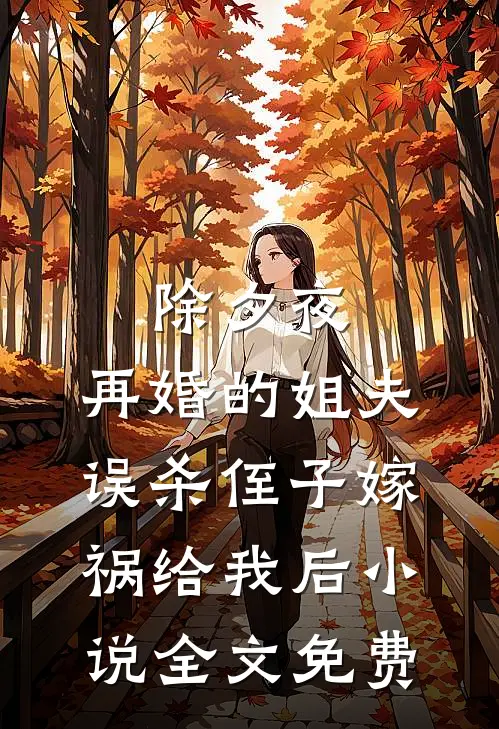 除夕夜，再婚的姐夫误杀侄子嫁祸给我后小说全文免费