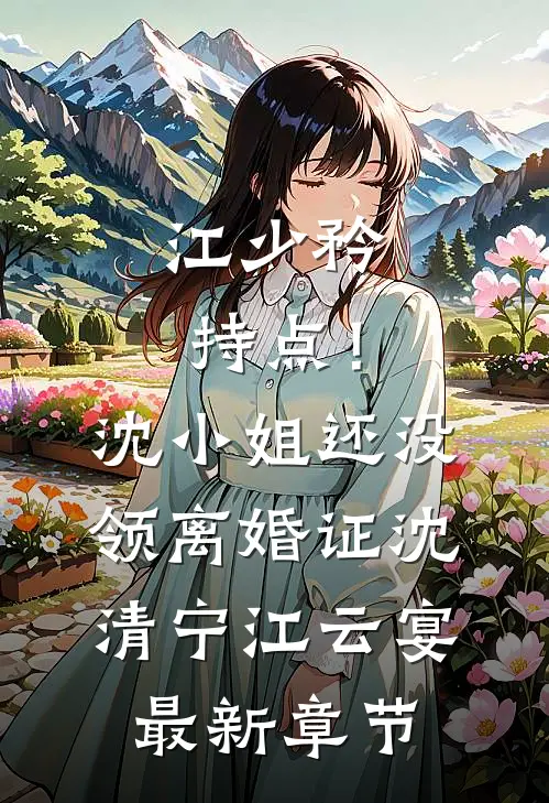 江少矜持点！沈小姐还没领离婚证沈清宁江云宴最新章节
