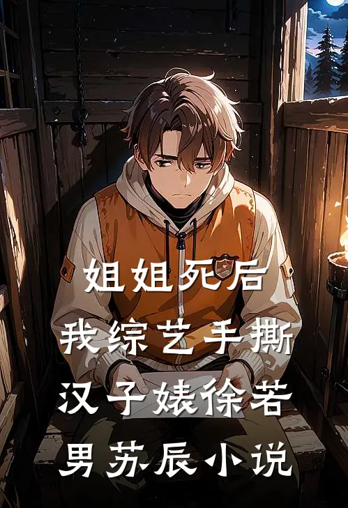 姐姐死后，我综艺手撕汉子婊徐若男苏辰小说