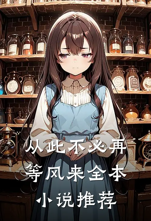 从此不必再等风来全本小说推荐