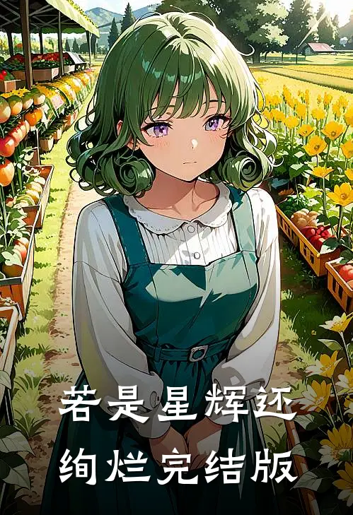 若是星辉还绚烂完结版
