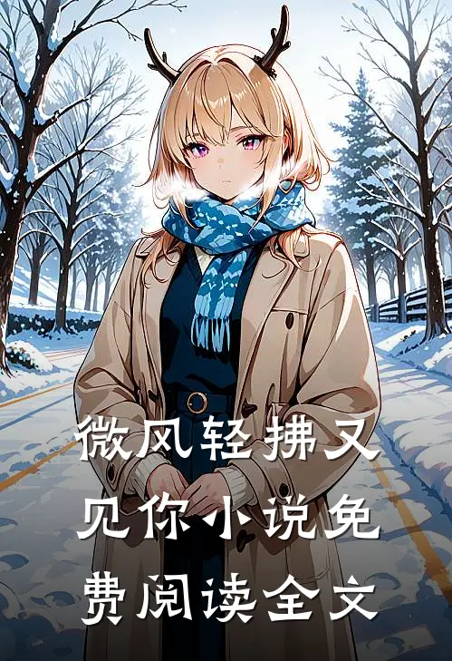微风轻拂又见你小说免费阅读全文