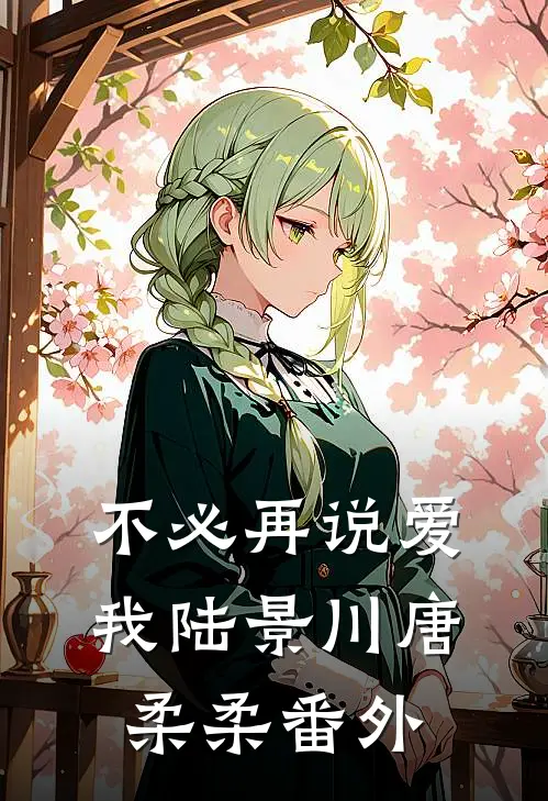 不必再说爱我陆景川唐柔柔 番外