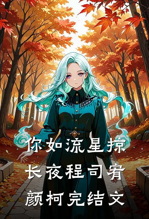 你如流星掠长夜程司宥颜柯完结文