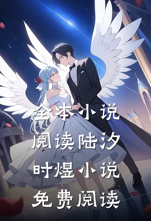全本小说阅读陆汐时煜小说免费阅读