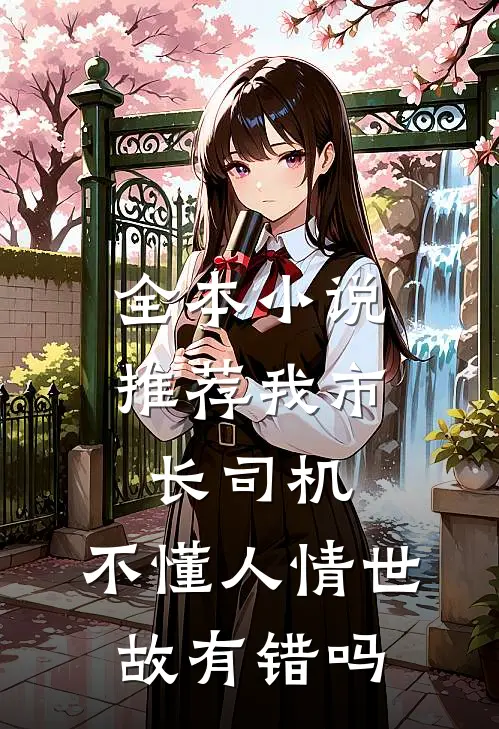 全本小说推荐我市长司机，不懂人情世故有错吗