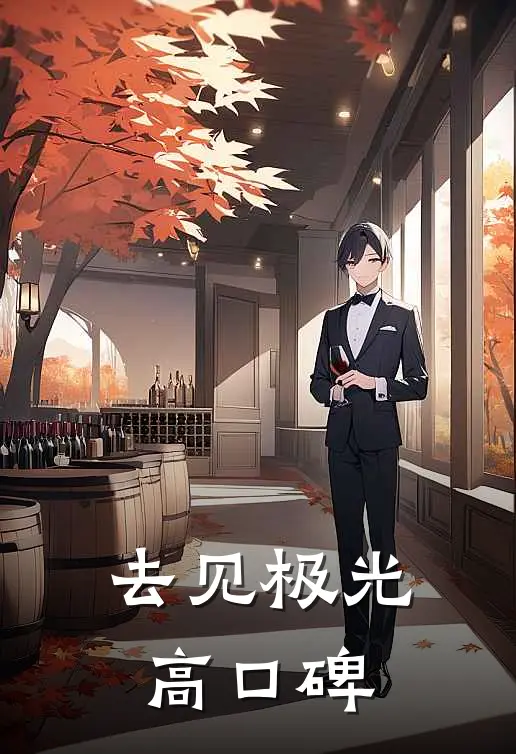 去见极光高口碑
