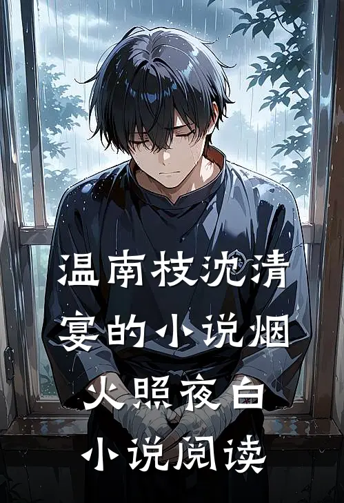 温南枝沈清宴的小说烟火照夜白小说阅读