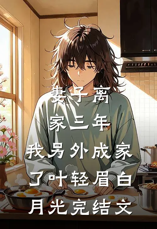 妻子离家三年，我另外成家了叶轻眉白月光完结文