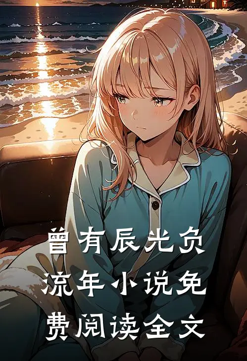 曾有辰光负流年小说免费阅读全文
