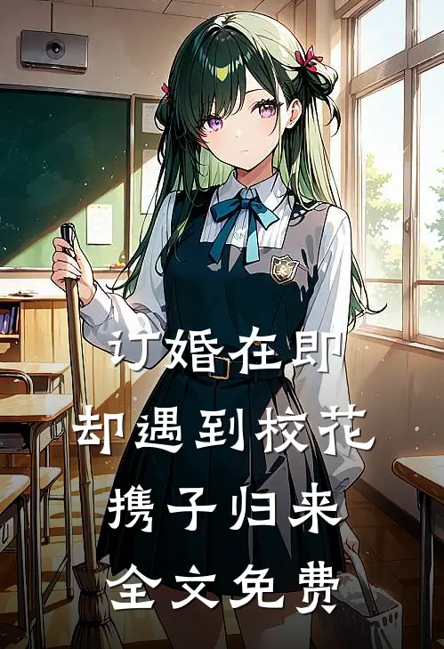 订婚在即，却遇到校花携子归来全文免费