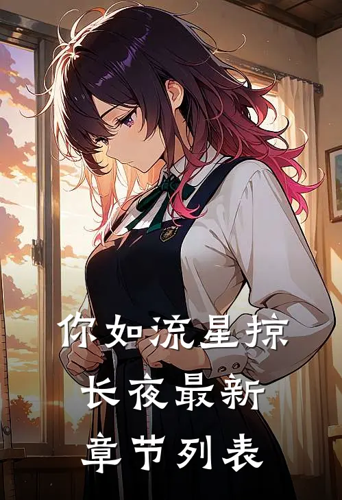 你如流星掠长夜最新章节列表
