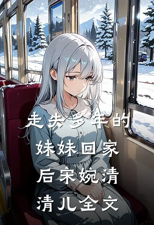 走失多年的妹妹回家后宋婉清清儿全文