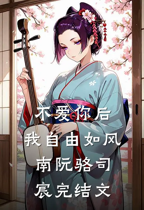 不爱你后，我自由如风南阮骆司宸完结文