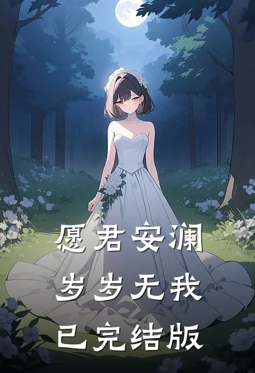 愿君安澜，岁岁无我已完结版