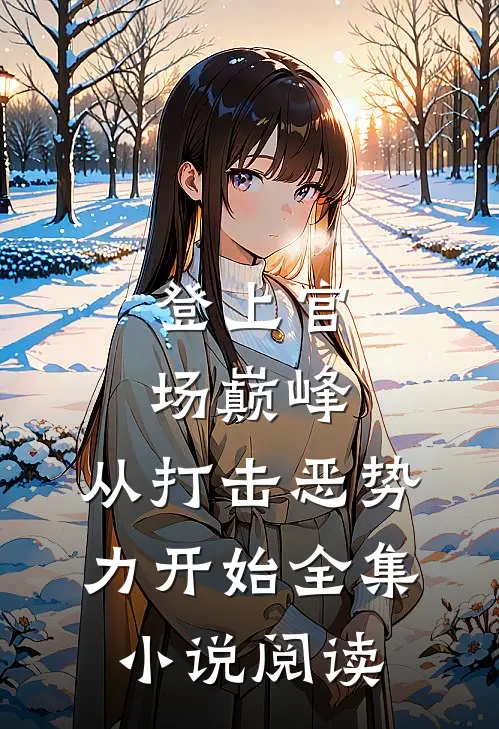 登上官场巅峰，从打击恶势力开始全集小说阅读