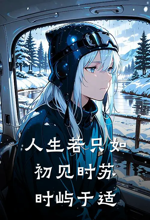 人生若只如初见时苏时屿于适