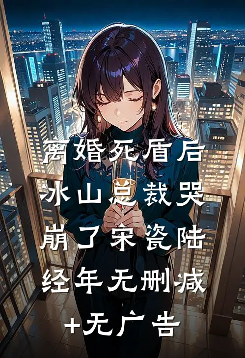 离婚死盾后，冰山总裁哭崩了宋瓷陆经年无删减+无广告
