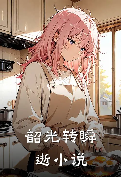 韶光转瞬逝小说