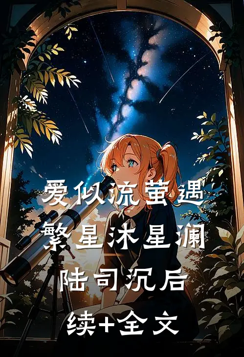 爱似流萤遇繁星沐星澜陆司沉后续+全文