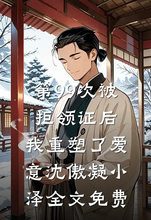 第99次被拒领证后，我重塑了爱意沈傲凝小泽全文免费