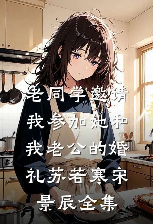 老同学邀请我参加她和我老公的婚礼苏若寒宋景辰全集