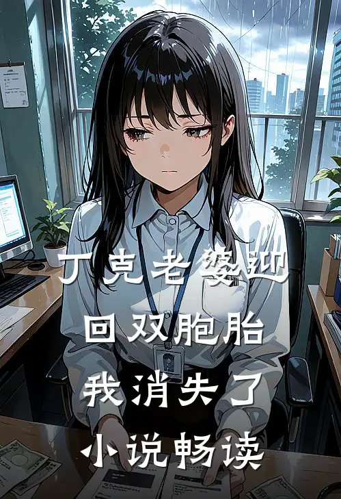 丁克老婆迎回双胞胎，我消失了小说畅读
