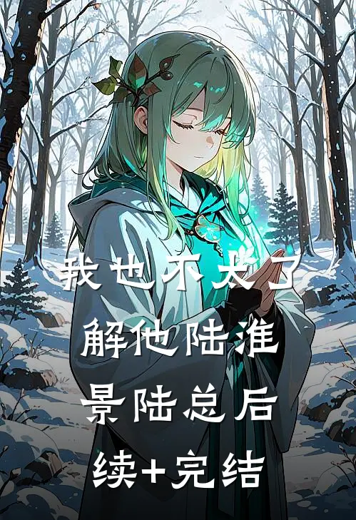 我也不太了解他陆淮景陆总后续+完结