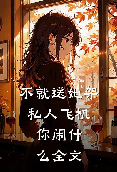 不就送她架私人飞机，你闹什么全文